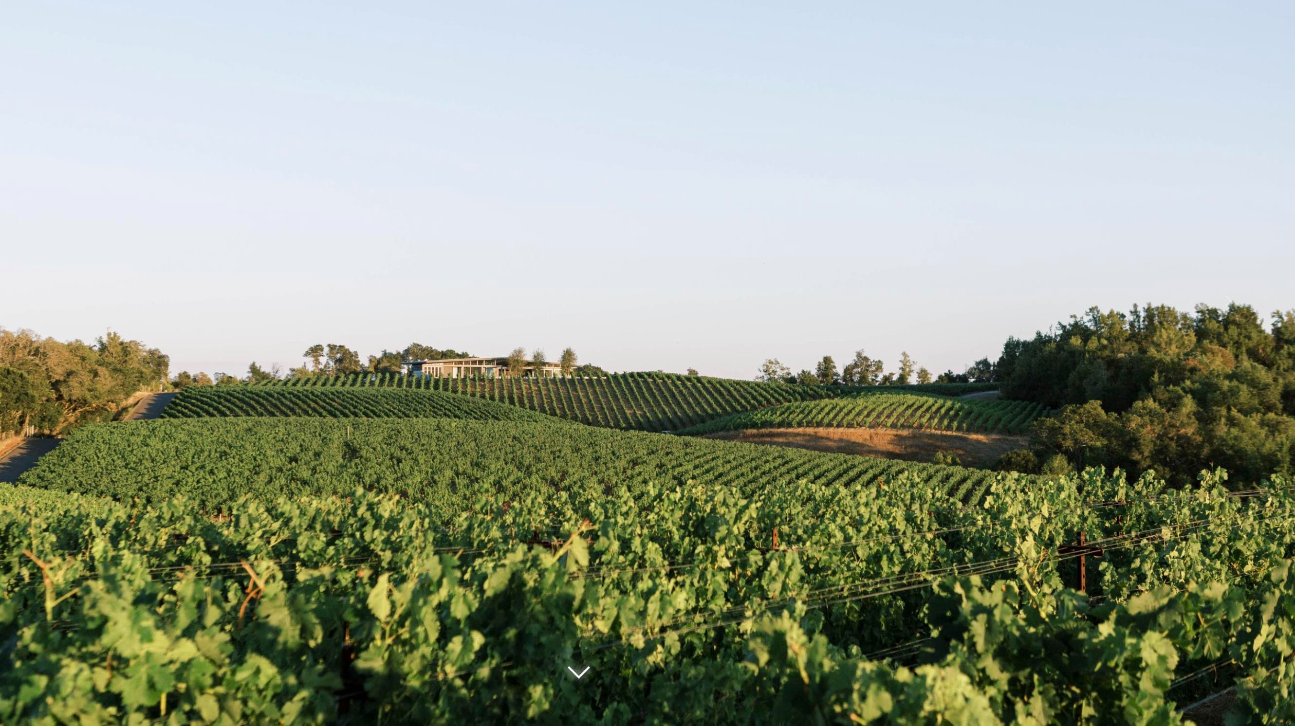 Napa Valley, California